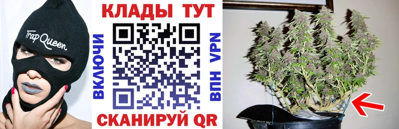Купить наркоту Грозный Гашиш  МАРИХУАНА  Псилоцибиновые грибы  Alpha PVP  Амфетамин  Меф  COCAIN 