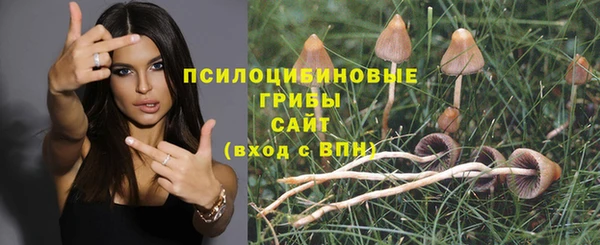 2c-b Абдулино