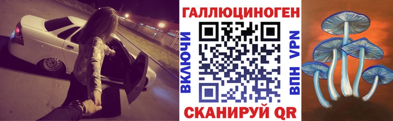 купить наркотики цена кракен сайт Галлюциногенные грибы Magic Shrooms Грозный