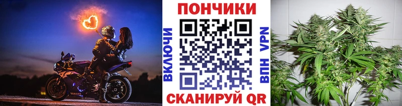 Бошки Шишки VHQ  Грозный 